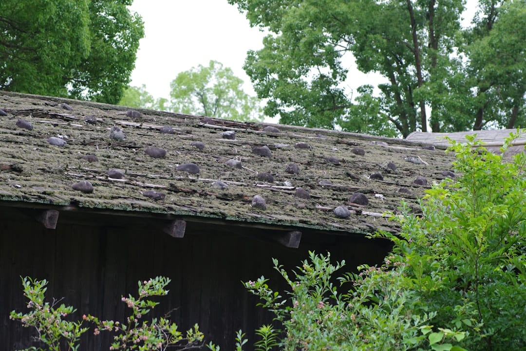 barn roof replacement